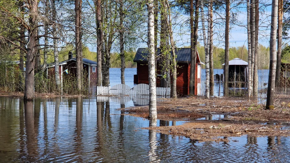 Inget rekord och flödet i Kalixälven sjunker. Men fortfarande måste den som ska till den här stugan i Överkalix vada eller ta båten. 