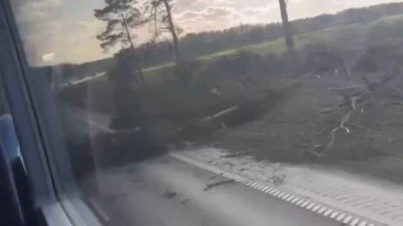 Ett nedfallet träd på E4 orsakade långa köer i södergående körriktning mellan Norrköping och Linköping på onsdagseftermiddagen.