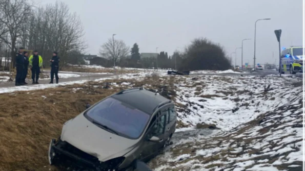 Polisen följde efter mannen, som tillslut hamnade i diket. 