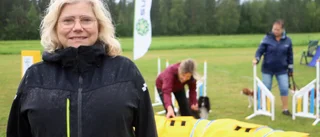 Efter bedrägeriet – Piteå brukshundklubb på banan igen