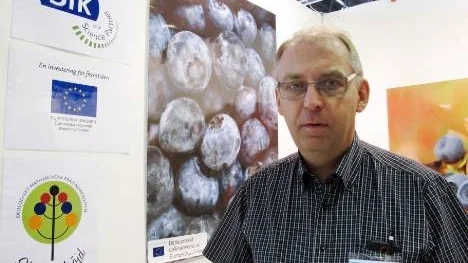 "Förädlingen av bär kan öka betydligt i Norrbotten och Västerbotten", säger Roger Uddstål, projektledare för "Bärkraft från Norr".