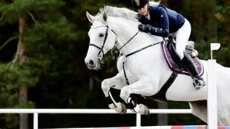 Johanna Sandberg, Piteå Ridklubb, på Pina Colada vann en av klasserna vid helgens hopptävling.