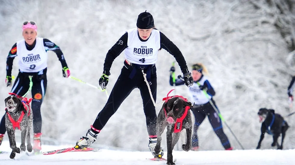 Brons. Åsa Nordgren och hunden Messi lyckades med bedriften att ta brons trots en bruten stav.