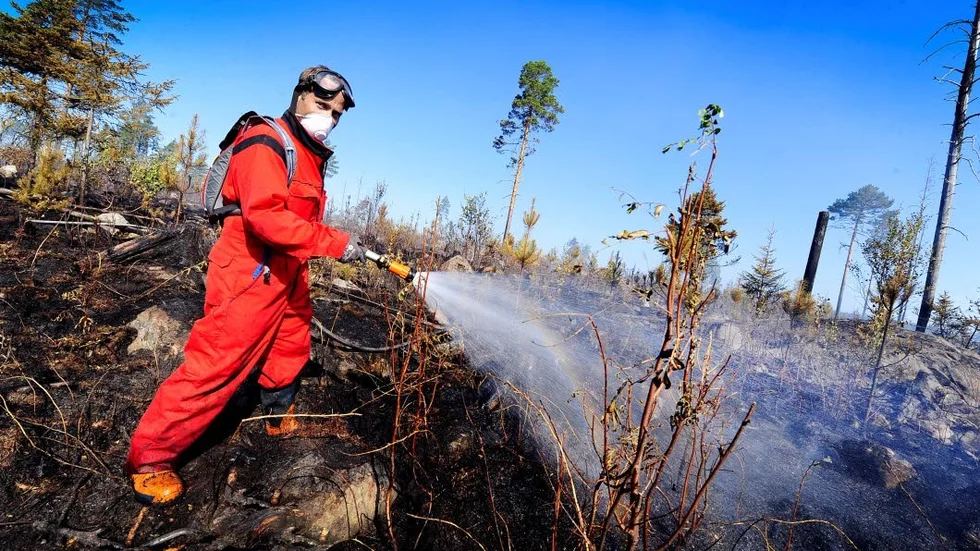 Skogsbrandssommar. Branden utanför Sikfors i Älsbyns kommun förstörde många hektar mark.  Här eftersläcker brandmannen Erik Åkerlund.