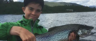Fiske-DM: Heta toppnamn efter "halvtid"
