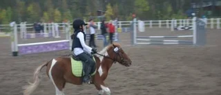 Ponnycup samlade närmare 100 ekipage
