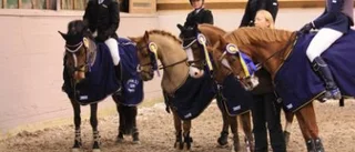 Lyckat samarbete gav guld