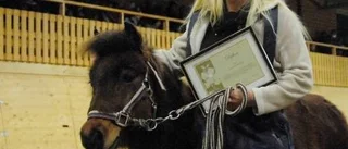 Lyckad luciashow på stallet