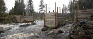 Brorestaureringen blev dyr