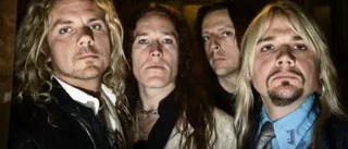 Kliniska och lättuggade Poodles
