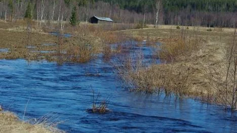 Ett dike ovanför Lillpite som blivit en vårflod, när smältvattnet från berget söker sig mot älven.