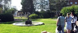 Centrum i Arvidsjaur ska blomma