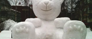 Barnens favorit  - kall, kramgo nalle