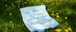 Filtkampanj lyfter fram pollenallergi