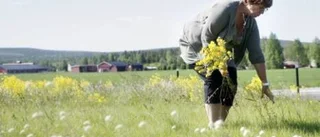 Vill piffa upp ovårdad rondell