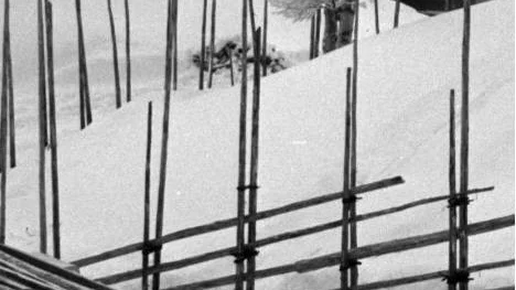 En gärdsgårdsstör trängde in i skrevet på den 14-årige pojken strax framför stolgången, genom bäckenet och in genom magen och ut genom ryggen, strax vid sidan om ryggraden. Stören bröts av och en del av den blev kvar i kroppen.