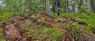 Körde i skyddsområde - ​SCA riskerar åtalsanmälan
