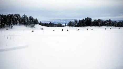 Filmfestivalens gäster anlände till Pipudden som riktiga norrlänningar skulle ha gjort.