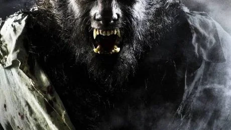 Benicio Del Toro är i behov av rakning.