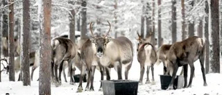 Ännu inget katastrofstöd