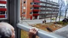 FÖRSTA PARKETT. Ragnar Gustavsson från Luleå satt på första parkett vid trädfällningen. Han fyller snart 100 år och är i betydligt bättre skick än de jämnåriga stammarna.