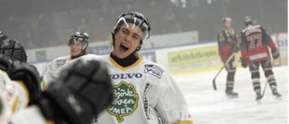 Lövenspelare lockar