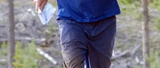 Några tappra "rävar" kämpar på i skogen