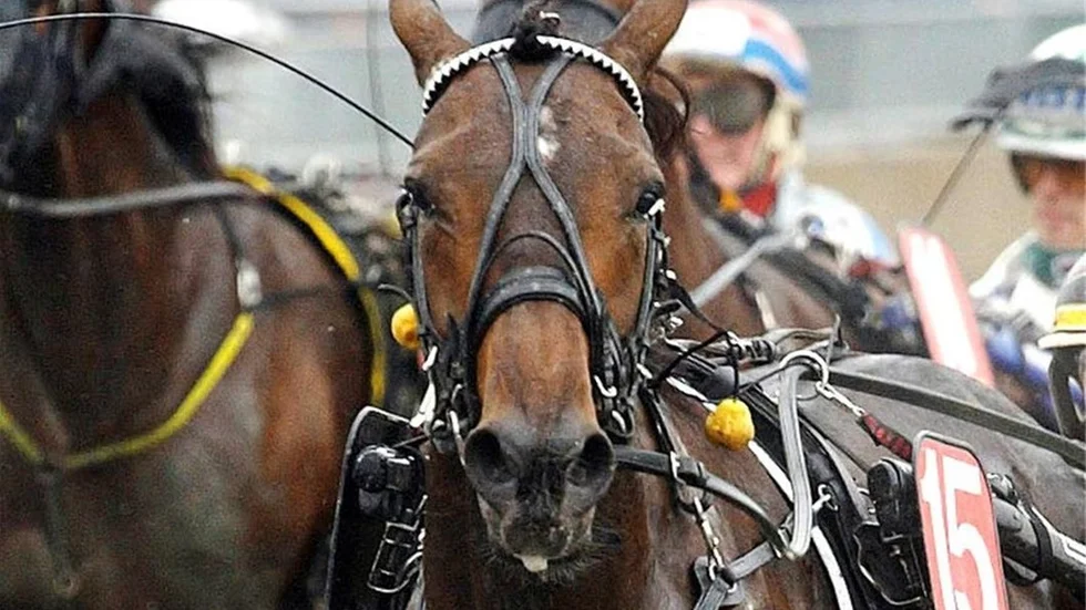 French Target visade storform på Bodentravet under tisdagen.