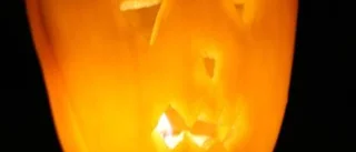 Guide till en lyckad Halloween