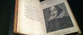 Skönlitteraturen lär oss inget om framgång