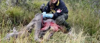 Självklart för Sandra att delta i älgjakten