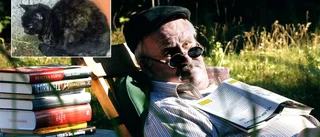 Rolf Nilséns katt Malin bortsprungen