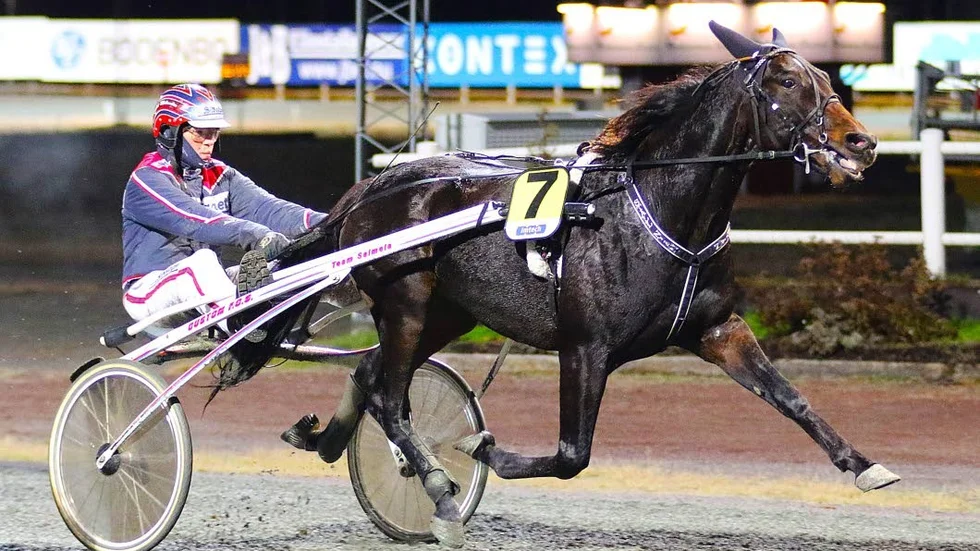 VINNARE. Makethemark vann i V86.