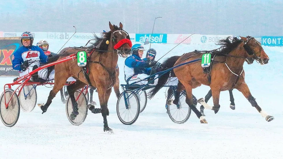 GALOPPERAR. 5-årige Go Lucky Fellow, körd av John Östman vinner V4-4 medan utvändige Stealthestarlight (8) galopperar i segerstriden för Jens Eriksson.