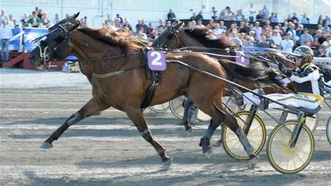 Målgång. Här ger pompano Bodentränaren petter Lundberg en V75-seger.
