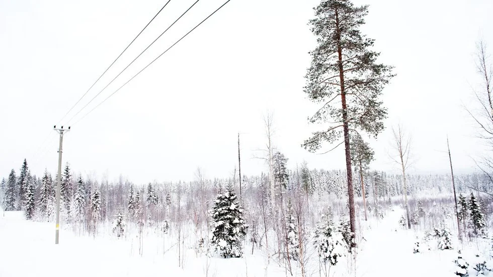 Strömlöst. Snö ställer till med problem för Vattenfall och över 3 500 av Vattenfalls kunder är utan ström.