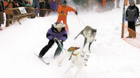 en arrangör till allt. Kiruna Lapland har fått i uppdrag att arrangera Snöfestivalen 2009. Nu har man beslutat att återta platsen som bästa snöfestival med bland annat skotershow, renrace, mattält och artister.