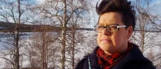 Ett vinterlöv från Sápmi