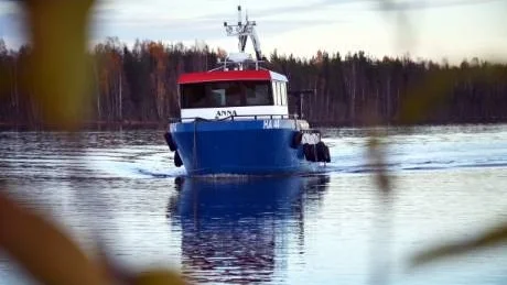 HÅRT VÄDER. På söndagen var det kav lugnt men det hårda vädret  tidigare under hösten har försvårat trålningen av siklöja.