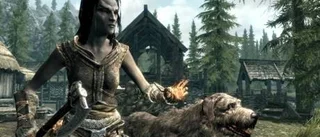 Årets rollspelsupplevelse