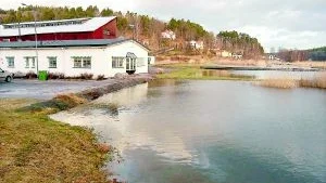 Det som normalt är ett markområde fram till kajkanten är numera en mindre sjö som börjar krypa obehagligt högt upp på invallningen som skyddar veterinärstationen.