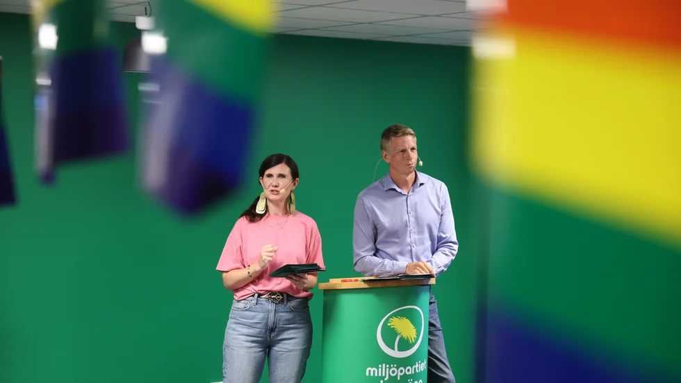 Insändarskribenten menar att Miljöpartiet behövs i riksdagen för att förhindra en regering med en "radikaliserad höger (M/KD/L) och ett högerextremistiskt parti med en i många stycken fascistisk agenda". 