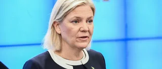 Socialdemokraterna vill nu bränna Sverigebilden