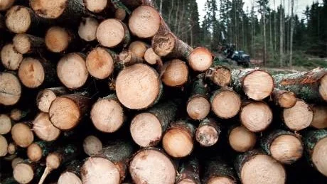 Hur är det med Södrakoncernens hänsyn till miljön? Foto: Scanpix