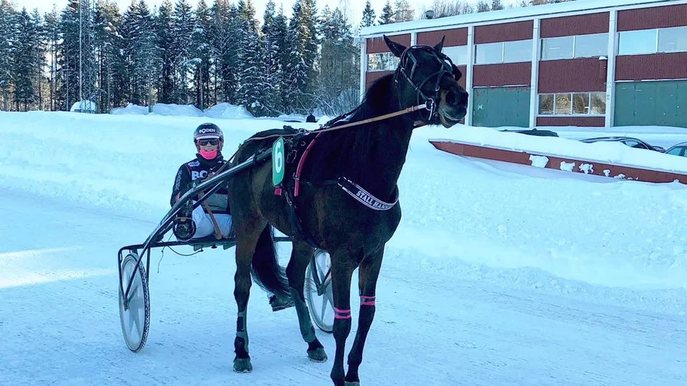 Atlas Eagra - Hanna Olofsson