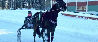 Dimman skingrades kring Mellby Fog