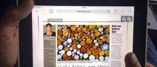 Inte många rätt om skogen, Ellinor