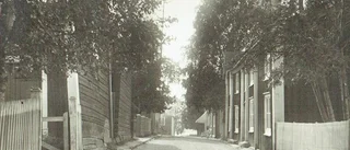 "Trots sin lantlighet vill Piteå vara en fin stad"
