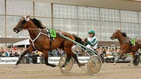 foto : mh : maharajah och Ã¶rjan kihlstrÃ¶m vinner v75-6 e3-finalen Ã¶ppen klass