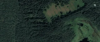 Nya ägare till skogsmark i Djäkneboda